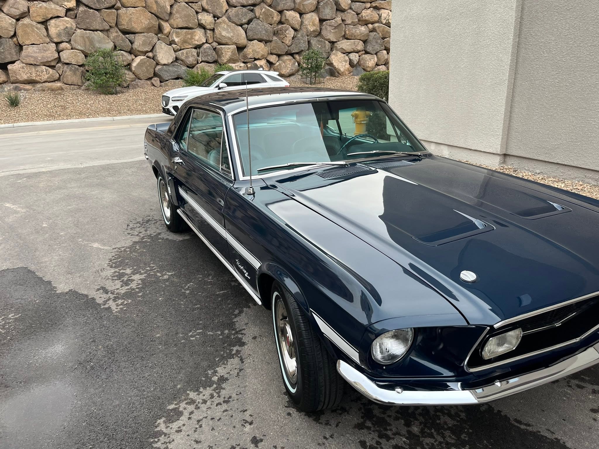 Classic Mustang after detailing